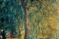 Claude Monet - Weeping willow