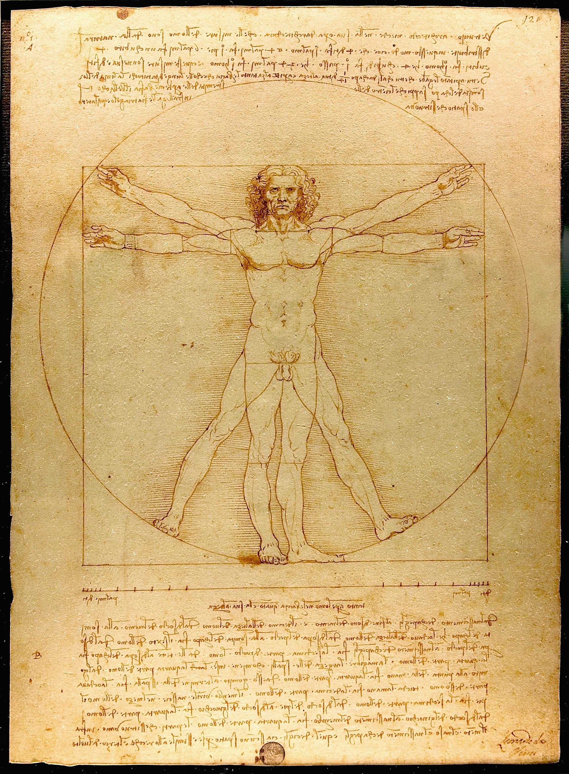 Leonardo Da Vinci - Uomo vitruviano