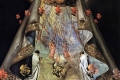 Salvador Dalì - Virgin of guadalupe
