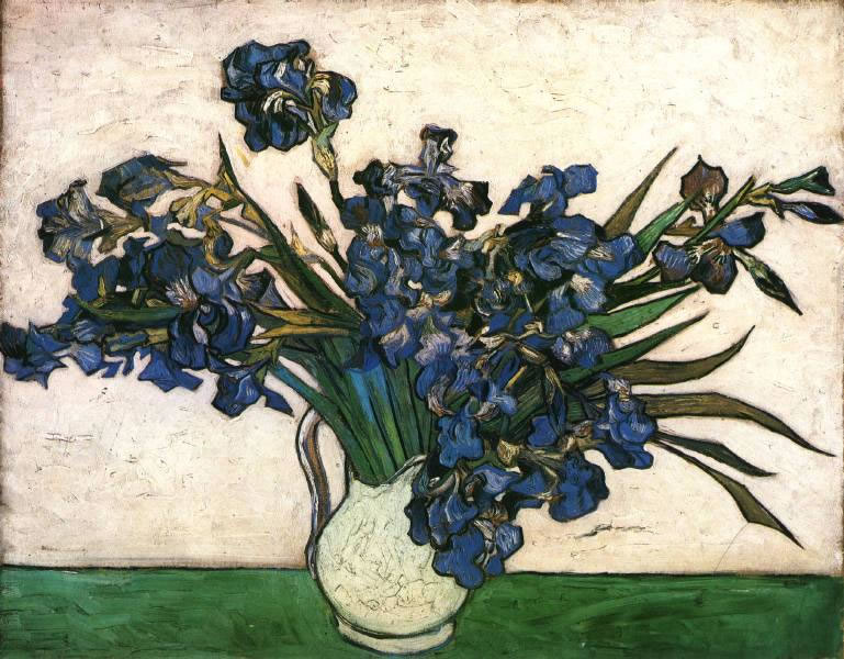 Vincent Van Gogh - Irises 02