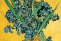 Vincent Van Gogh - Irises 03
